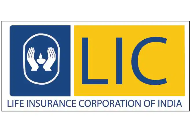 icon-logo